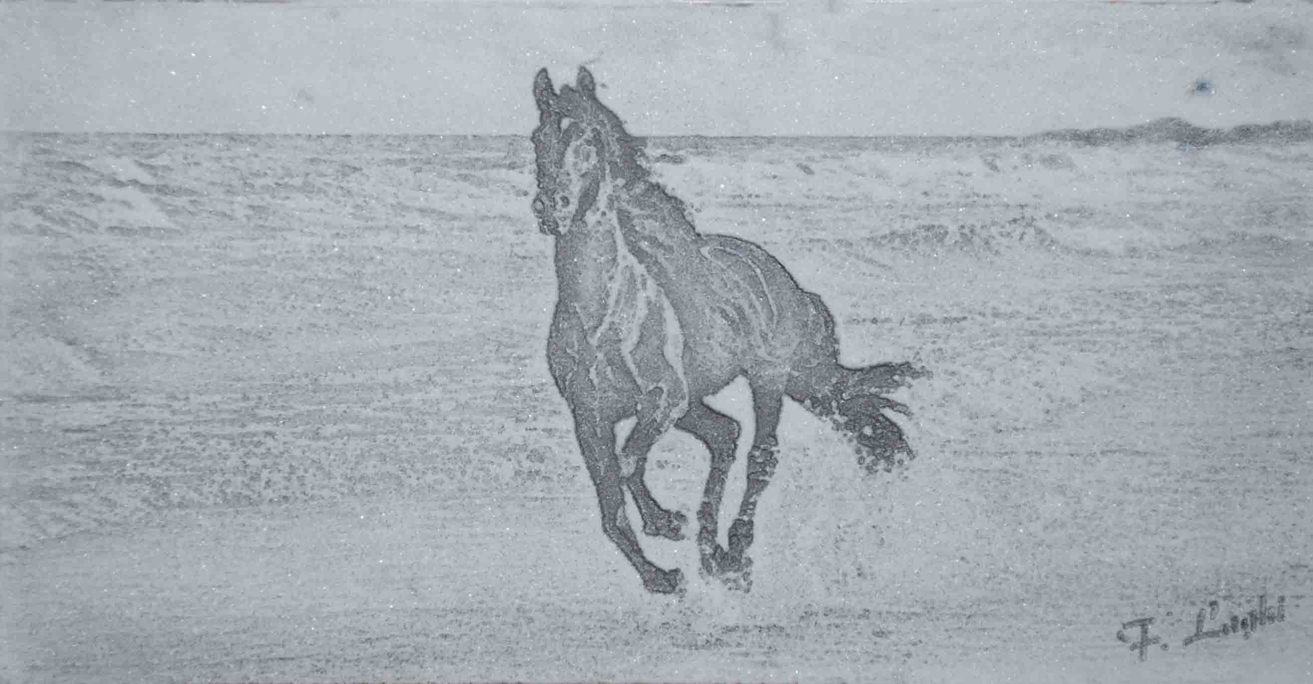 Cavallo al mare1